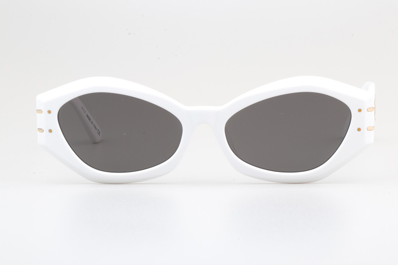 Signature B1U Sunglasses White Gray