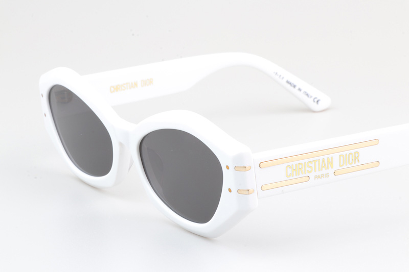 Signature B1U Sunglasses White Gray