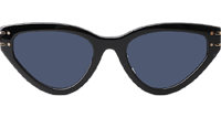 Signature B2U Sunglasses Black Blue