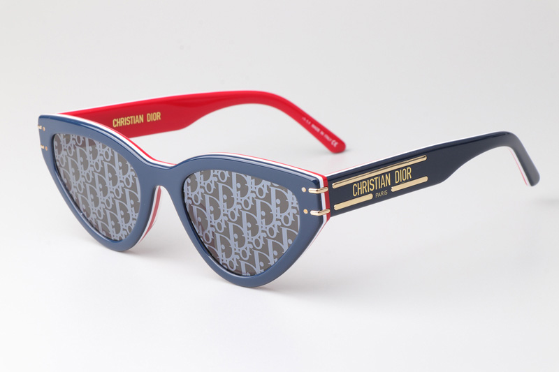 Signature B2U Sunglasses Blue Red Silver Logo