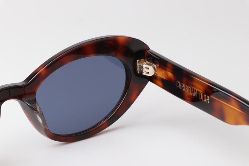 Signature B3U Sunglasses Tortoise Blue