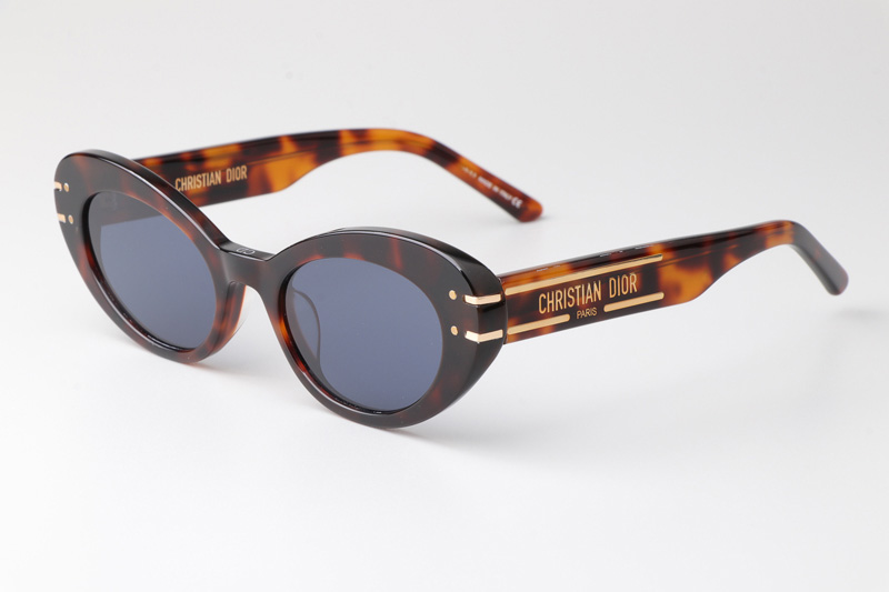 Signature B3U Sunglasses Tortoise Blue