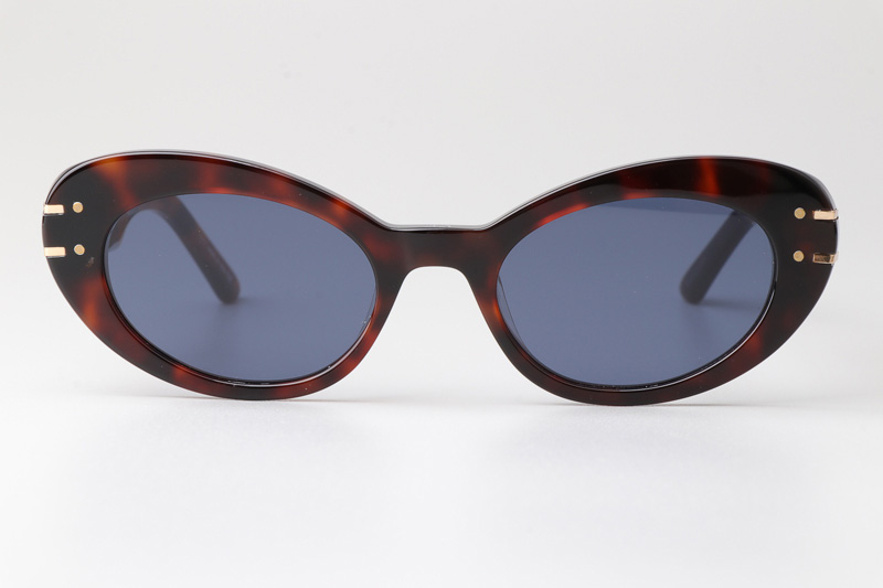 Signature B3U Sunglasses Tortoise Blue