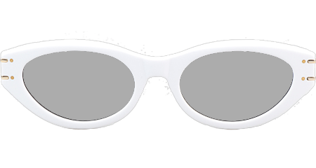 Signature B5I Sunglasses White Silver