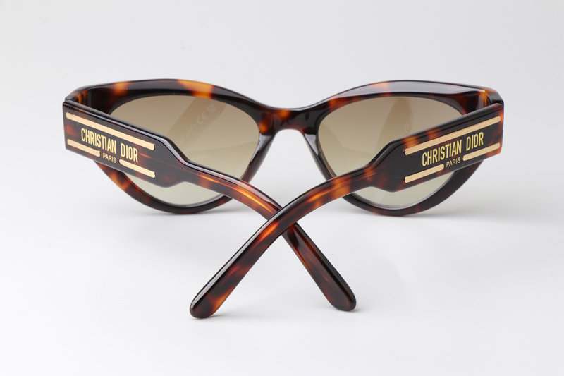 Signature B71 Sunglasses Tortoise Gradient Brown