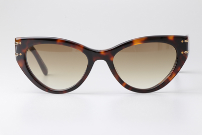 Signature B71 Sunglasses Tortoise Gradient Brown