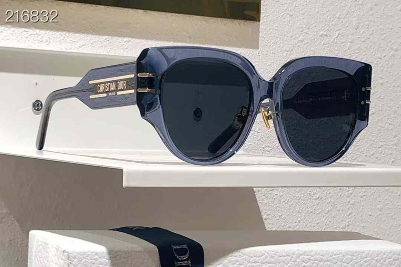 Signature R2F Sunglasses Transparent Blue Gray