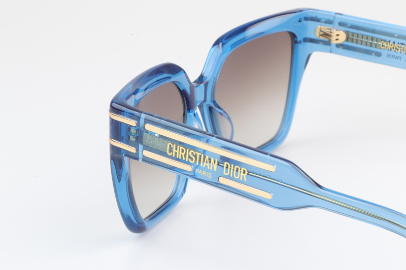 Signature S10F Sunglasses Blue Gradient Brown