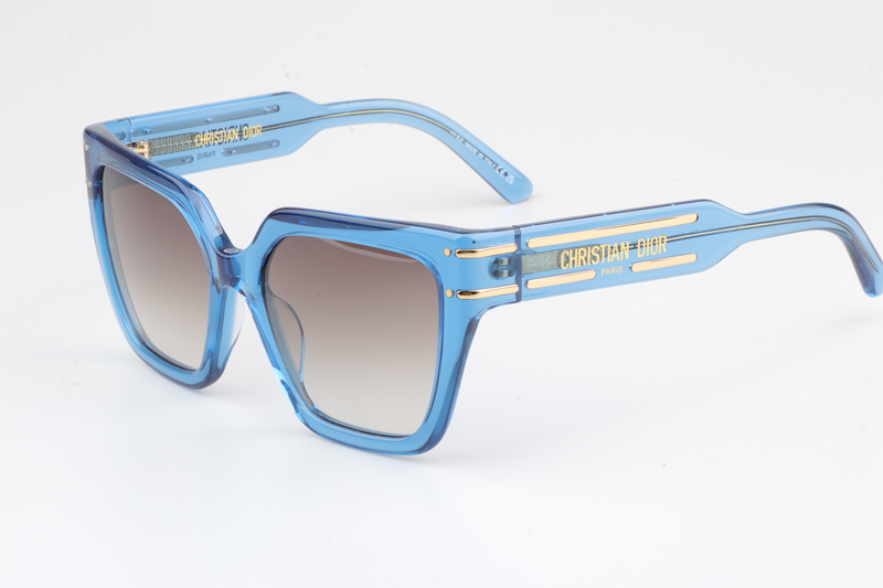 Signature S10F Sunglasses Blue Gradient Brown
