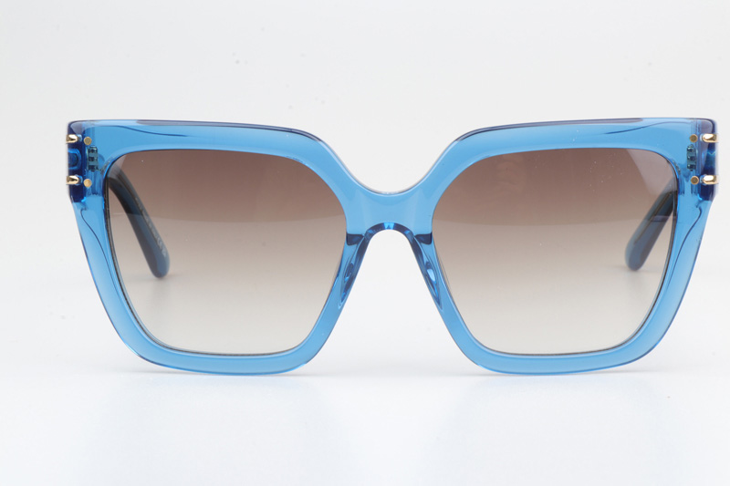 Signature S10F Sunglasses Blue Gradient Brown