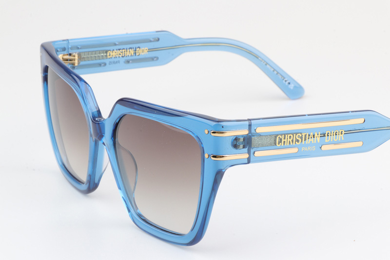 Signature S10F Sunglasses Blue Gradient Brown