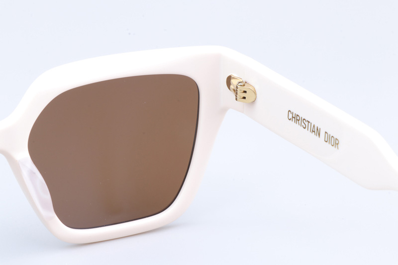 Signature S10F Sunglasses Cream Brown