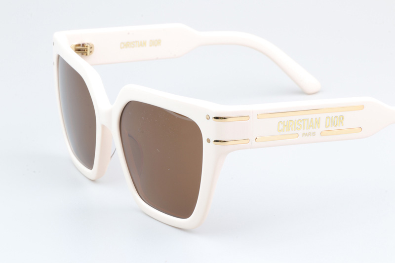 Signature S10F Sunglasses Cream Brown