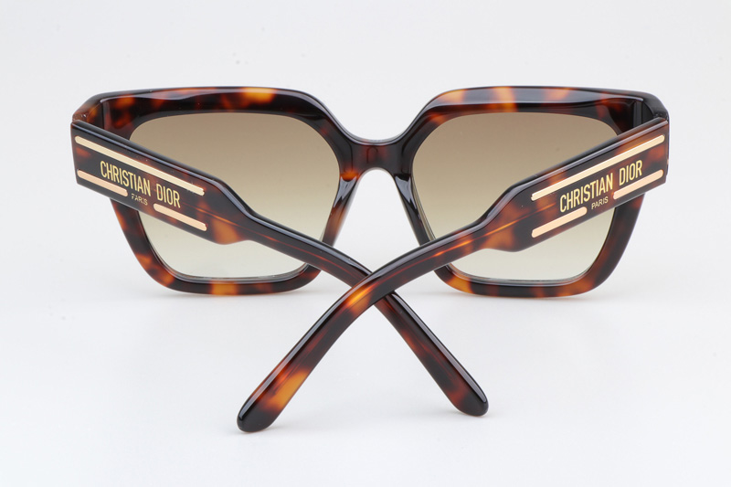 Signature S10F Sunglasses Tortoise Gradient Brown