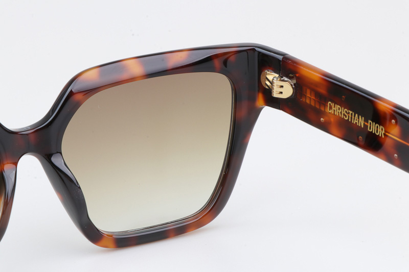 Signature S10F Sunglasses Tortoise Gradient Brown