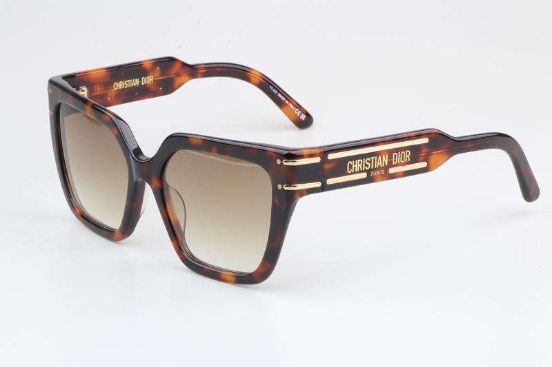 Signature S10F Sunglasses Tortoise Gradient Brown
