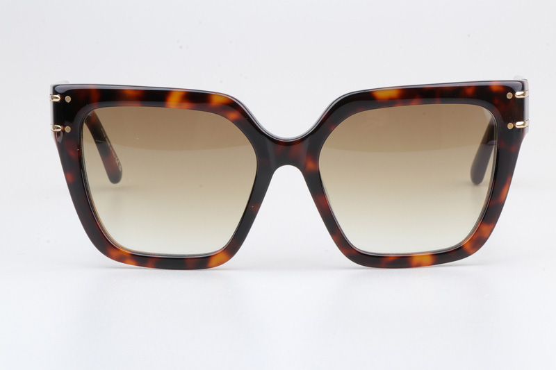 Signature S10F Sunglasses Tortoise Gradient Brown