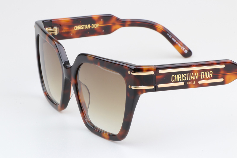 Signature S10F Sunglasses Tortoise Gradient Brown