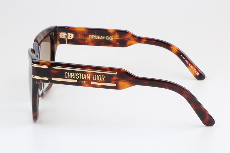 Signature S10F Sunglasses Tortoise Gradient Brown