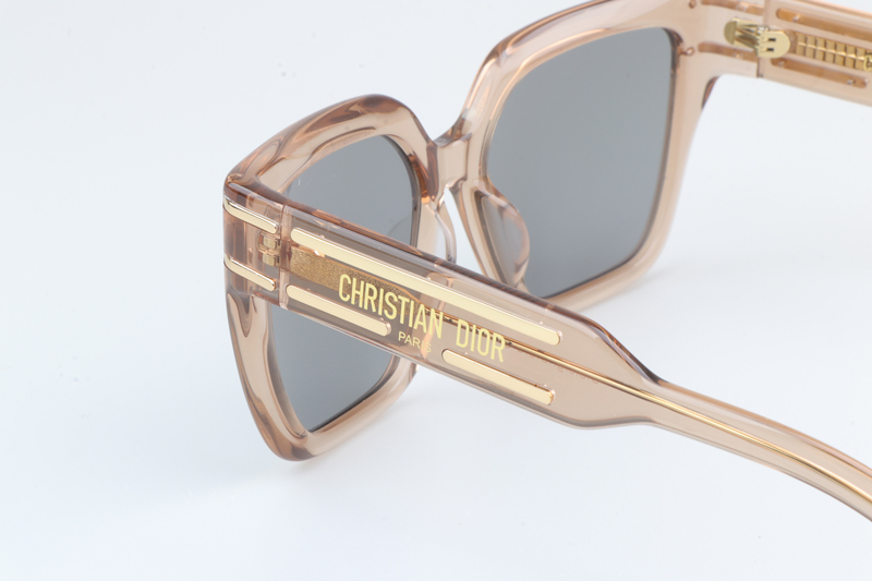 Signature S10F Sunglasses Transparent Brown Silver