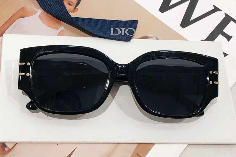 Signature S13F Sunglasses Black Gray