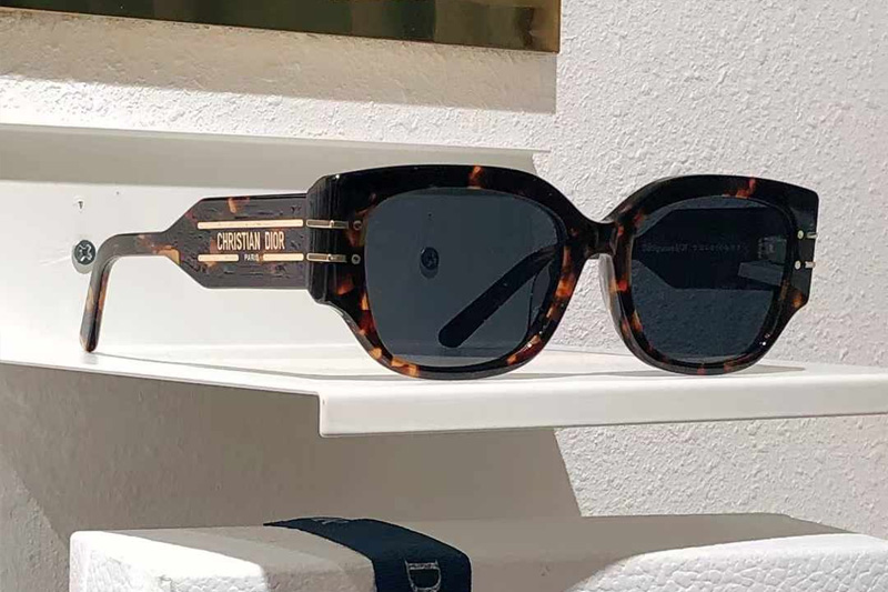 Signature S13F Sunglasses Tortoise Gray