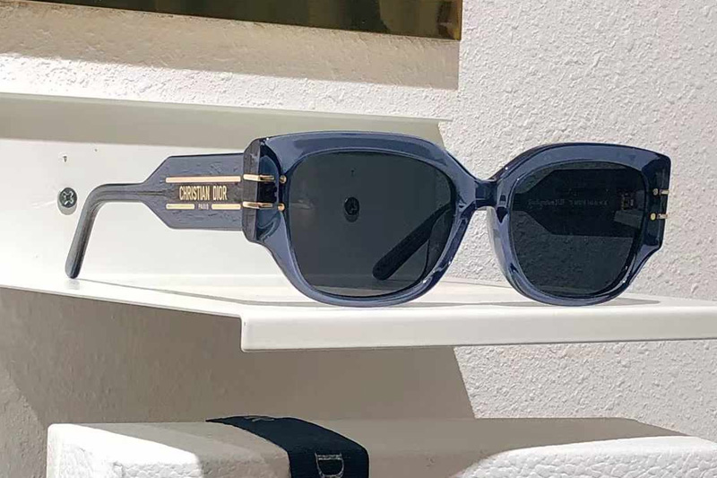 Signature S13F Sunglasses Transparent Blue Gray