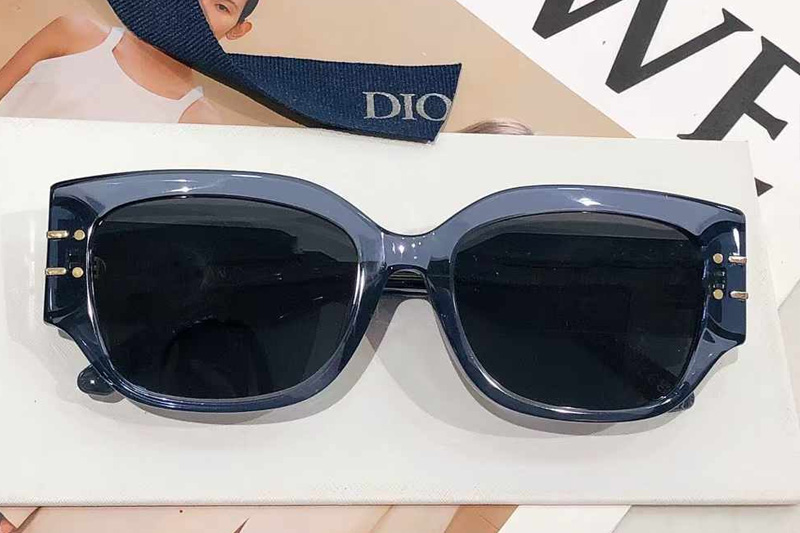 Signature S13F Sunglasses Transparent Blue Gray