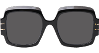 Signature S1U Sunglasses Black Gray