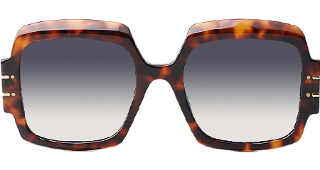 Signature S1U Sunglasses Tortoise Gradient Gray