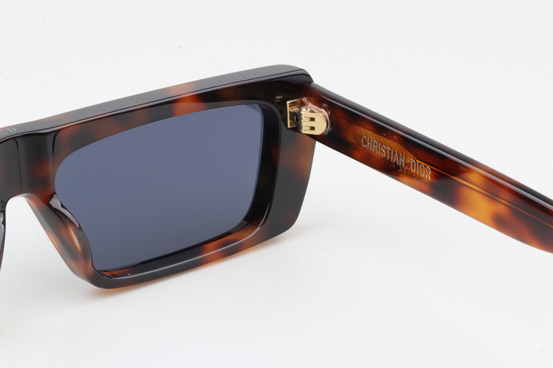 Signature S2U Sunglasses Tortoise Blue