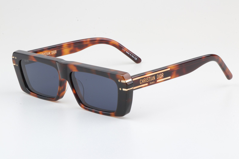 Signature S2U Sunglasses Tortoise Blue