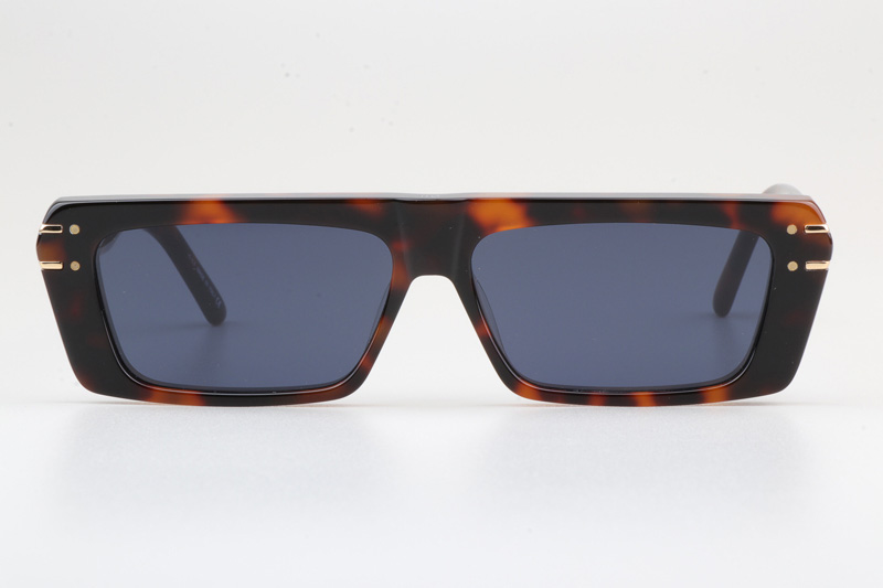 Signature S2U Sunglasses Tortoise Blue