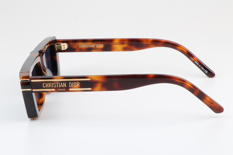 Signature S2U Sunglasses Tortoise Blue