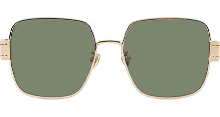 Signature S4U Sunglasses Gold Tortoise Green