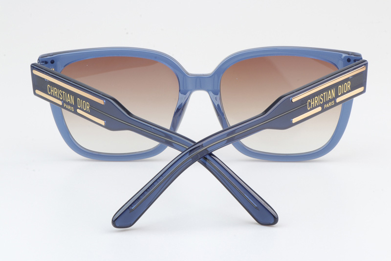 Signature S7F Sunglasses Blue Gradient Brown