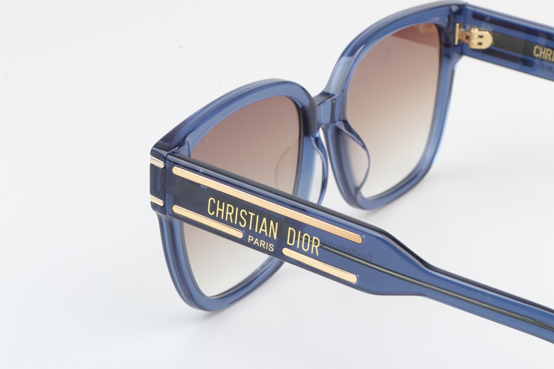 Signature S7F Sunglasses Blue Gradient Brown