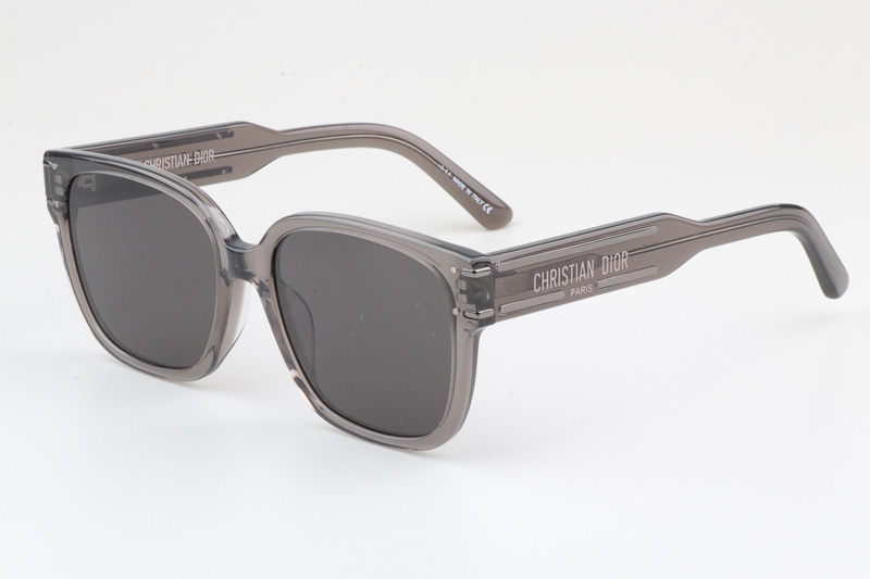 Signature S7F Sunglasses Gray Gray