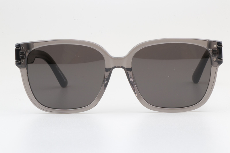 Signature S7F Sunglasses Gray Gray