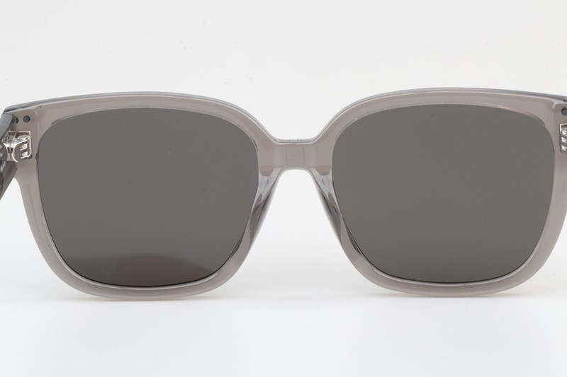 Signature S7F Sunglasses Gray Gray