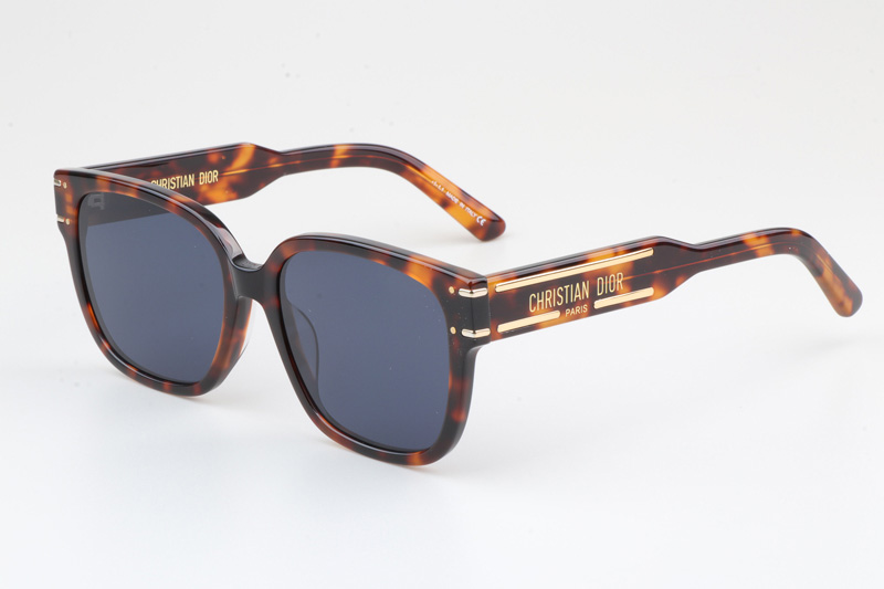 Signature S7F Sunglasses Tortoise Blue