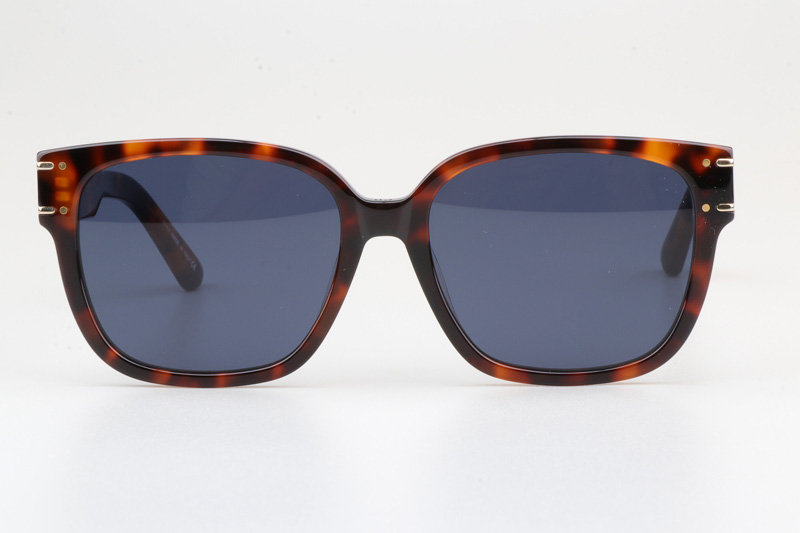 Signature S7F Sunglasses Tortoise Blue