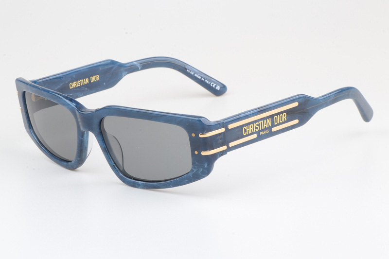 Signature S9U Sunglasses Blue Silver