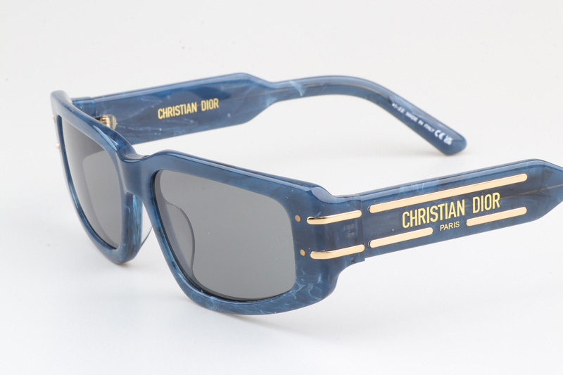 Signature S9U Sunglasses Blue Silver