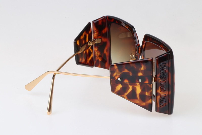 Solar SIU Sunglasses Tortoise Gradient Brown