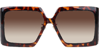 Solar SIU Sunglasses Tortoise Gradient Brown