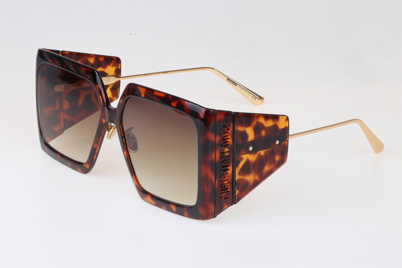 Solar SIU Sunglasses Tortoise Gradient Brown