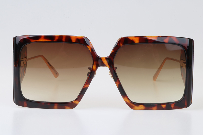 Solar SIU Sunglasses Tortoise Gradient Brown