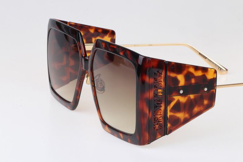 Solar SIU Sunglasses Tortoise Gradient Brown