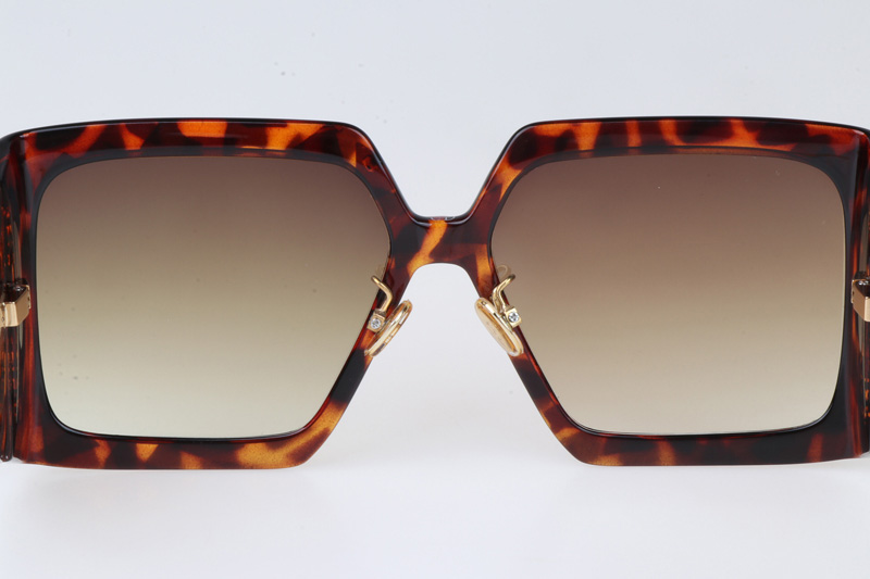 Solar SIU Sunglasses Tortoise Gradient Brown